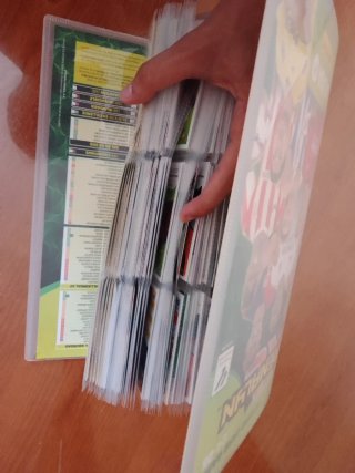 Álbum de cartas de Fútbol ( Cartas top)