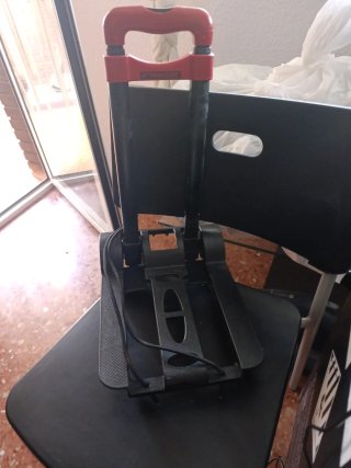 Carrito de Carga Plegable Parkside