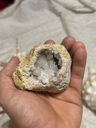 Lotto di minerali, conchiglie e fossili, ASCOLTA LE OFFERTE!