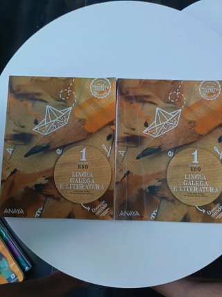 Libro texto 2°ESO Galego e literatura masculino