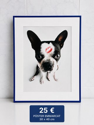 Póster perro con beso enmarcado azul