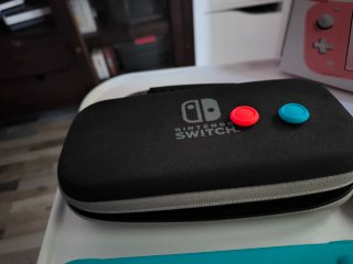 Nintendo Switch Lite Rosa