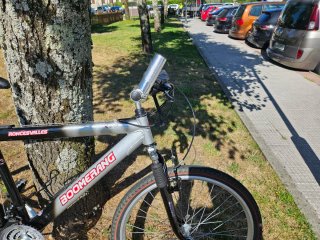 Bicicleta Boomerang