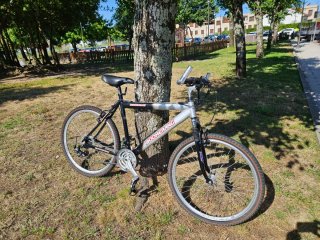 Bicicleta Boomerang