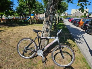 Bicicleta Boomerang