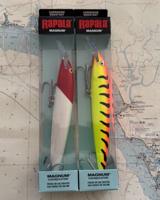 Lote 2 Rapala Magnum flotantes FMAG18  180