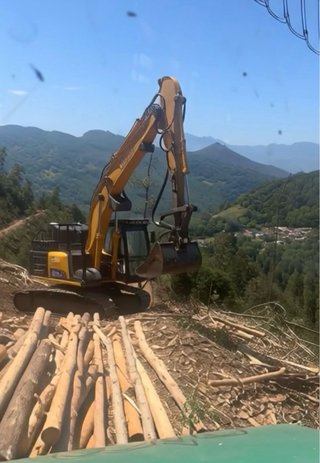 Procesador madera Lieber 914 con procesador Monra
