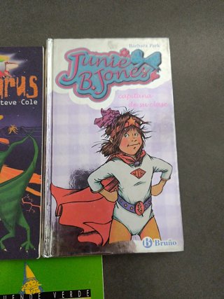 Colección libros. El pequeño Davirón