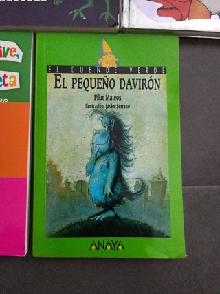 Colección libros. El pequeño Davirón