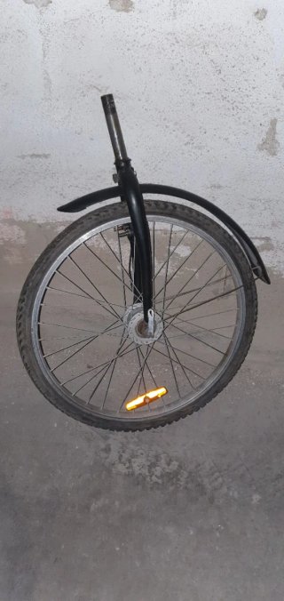 Rueda delantera y horquilla talla 24