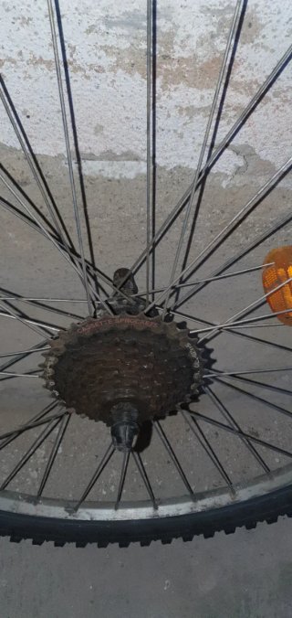 Rueda trasera de bicicleta