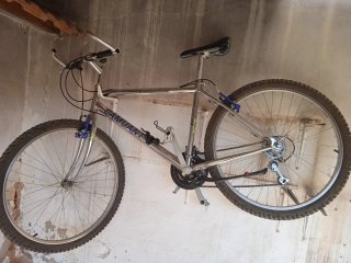 Bici Vintage CAMUANT Plata