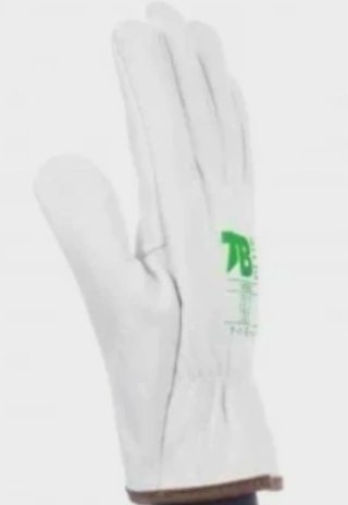 Guantes Tomas Bodero (120 pares)