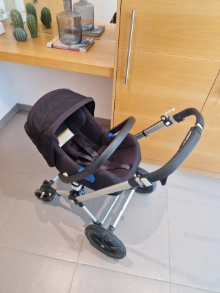 Conjunto Bugaboo