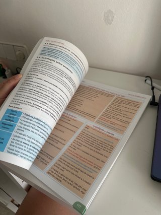 Libro IPE II