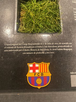 Césped Camp Nou - Mejor Barça Historia