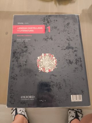 Lengua castellana y literatura Bachillerato