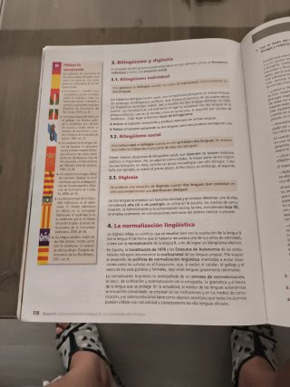 Lengua castellana y literatura Bachillerato