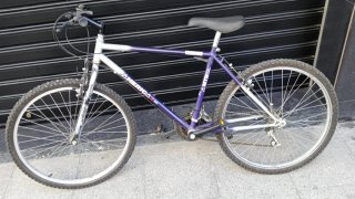 Bicicleta MTB America Morada