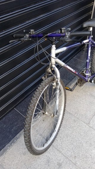 Bicicleta MTB America Morada
