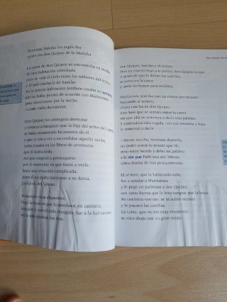DON QUIJOTE DE LA MANCHA