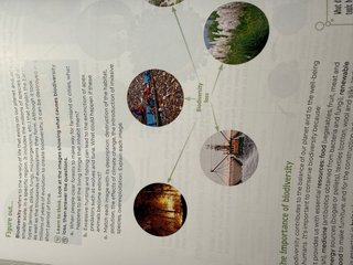 Libro texto 1 ESO REVUELA Biology and Geology. CyL