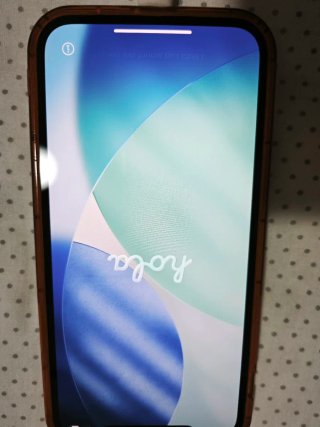 iPhone 12 Pro Gris oscuro 128 GB y cargador.