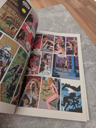 Marvel Comic Shanna La Diablesa 1991 Unico Numero