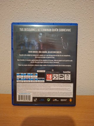 Until Dawn PS4 (PlayStation 4)