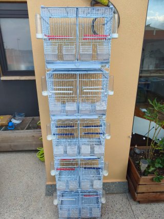 Jaula para criar pájaros