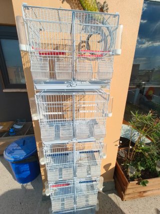 Jaula para criar pájaros