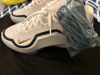 Nike Lebron 23 Nuevas Talla 42,5