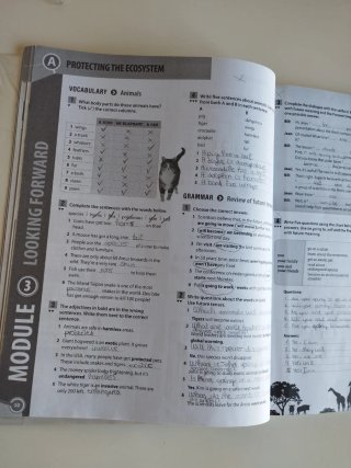 Network 3ºeso. Workbook 2019