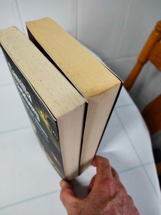 NOVELAS DE CAMILA LACKBERG