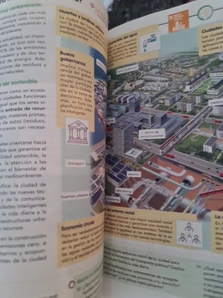 Libro lectura