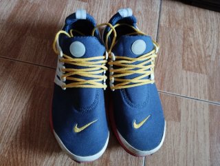 Nike Air Presto Zapatillas Azul y Rosa