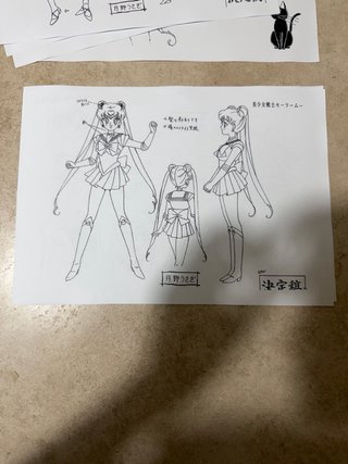 Stampe settei sailor moon