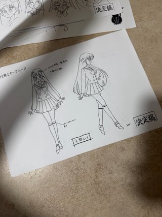 Stampe settei sailor moon