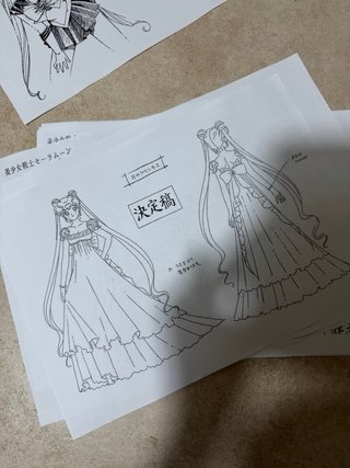 Stampe settei sailor moon