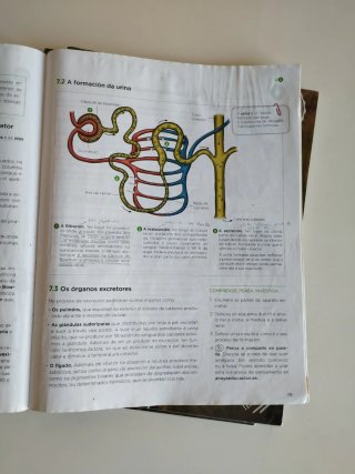 Bioloxía e xeoloxía, 3 ESO, 3 libros, 3 trimestres