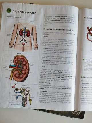 Bioloxía e xeoloxía, 3 ESO, 3 libros, 3 trimestres