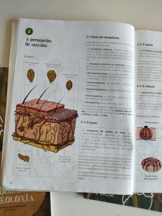 Bioloxía e xeoloxía, 3 ESO, 3 libros, 3 trimestres