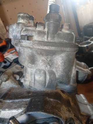 Motor Aprilia RS 50 Hebo 74cc + 21 dellorto