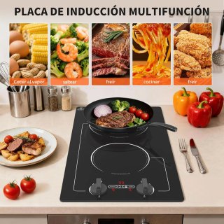 Placa Inducción VBGK 2 fuegos 3000W 220V