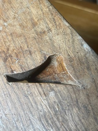 Cepillo de moldura antiguo carpintero 21 cm c.1880