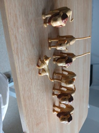 Lote 6 leones y 1 cría de playmobil  Todos 11€