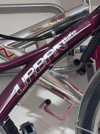 Bicicleta Paseo Adulto con Cesta