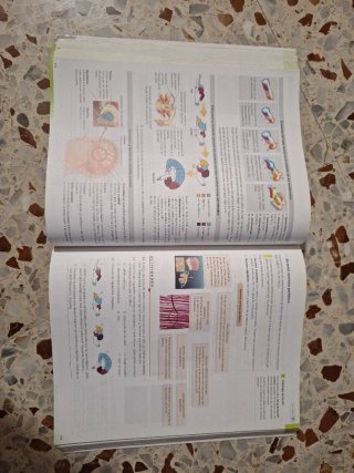 Biología, Geología y Ciencias Ambientales 1o Ba...