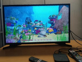 Televisor Samsung Negro