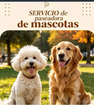 Servicio de paseo de mascotas